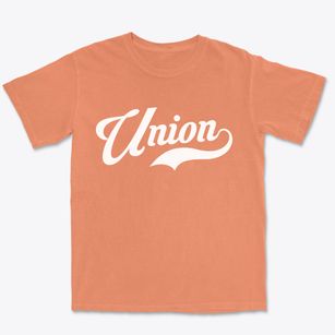 Union Washington Vintage Team Premium Heavyweight T-shirt
