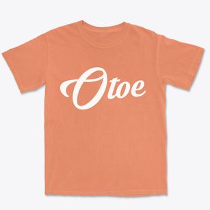 Otoe Nebraska Vintage Team Premium Heavyweight T-shirt