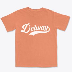 Delway North Carolina Vintage Team Premium Heavyweight T-shirt