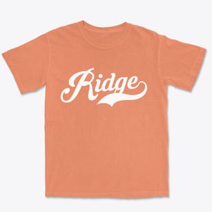 Ridge New York Vintage Team Premium Heavyweight T-shirt