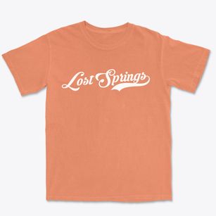 Lost Springs Wyoming Vintage Team Premium Heavyweight T-shirt