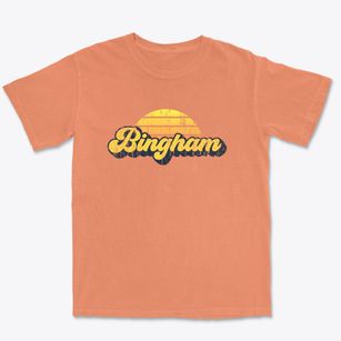 Bingham Illinois Sublime Sunset Premium Heavyweight T-shirt