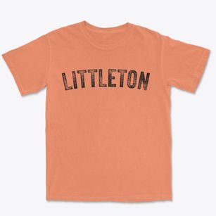 Littleton New Hampshire Timeless Retro Premium Heavyweight T-shirt