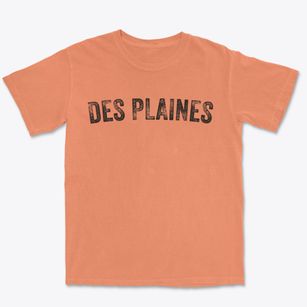 Des Plaines Illinois Timeless Retro Premium Heavyweight T-shirt