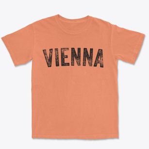 Vienna New York Timeless Retro Premium Heavyweight T-shirt