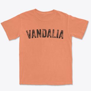 Vandalia Missouri Timeless Retro Premium Heavyweight T-shirt
