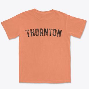 Thornton New Hampshire Timeless Retro Premium Heavyweight T-shirt