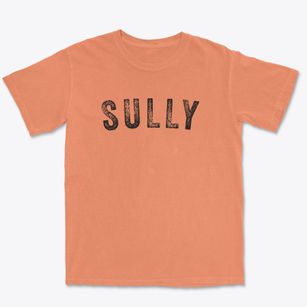 Sully Iowa Timeless Retro Premium Heavyweight T-shirt