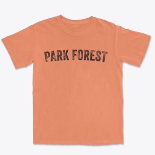 Park Forest Illinois Timeless Retro Premium Heavyweight T-shirt