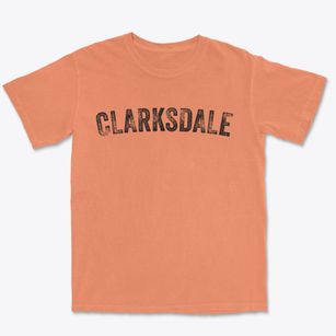 Clarksdale Missouri Timeless Retro Premium Heavyweight T-shirt