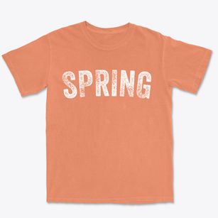 Spring Texas Timeless Retro Premium Heavyweight T-shirt