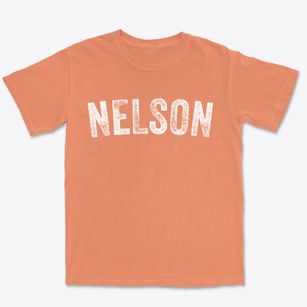 Nelson New Hampshire Timeless Retro Premium Heavyweight T-shirt