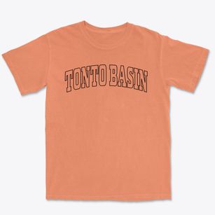 Tonto Basin Arizona Trendy Block Premium Heavyweight T-shirt