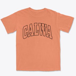 Calwa California Trendy Block Premium Heavyweight T-shirt