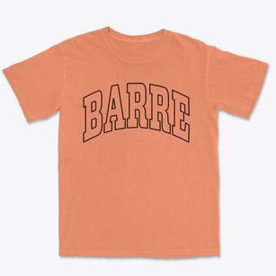 Barre Wisconsin Trendy Block Premium Heavyweight T-shirt
