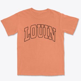 Louin Mississippi Trendy Block Premium Heavyweight T-shirt