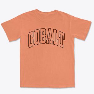 Cobalt Missouri Trendy Block Premium Heavyweight T-shirt
