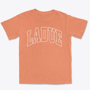 Ladue Missouri Trendy Block Premium Heavyweight T-shirt