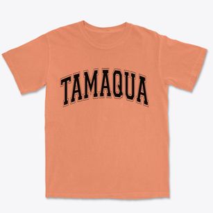 Tamaqua Pennsylvania Varsity Premium Heavyweight T-shirt