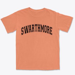 Swarthmore Pennsylvania Varsity Premium Heavyweight T-shirt