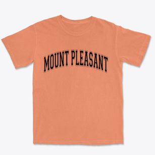 Mount Pleasant Tennessee Varsity Premium Heavyweight T-shirt