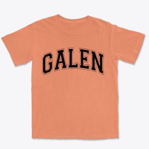 Galen New York Varsity Premium Heavyweight T-shirt