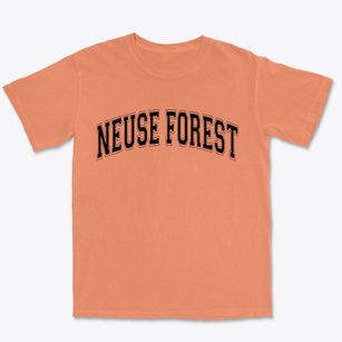 Neuse Forest North Carolina Varsity Premium Heavyweight T-shirt