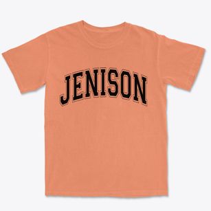 Jenison Michigan Varsity Premium Heavyweight T-shirt