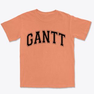 Gantt Alabama Varsity Premium Heavyweight T-shirt