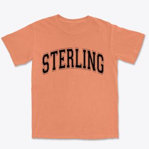 Sterling Illinois Varsity Premium Heavyweight T-shirt