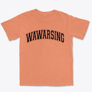 Wawarsing New York Varsity Premium Heavyweight T-shirt