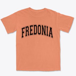 Fredonia New York Varsity Premium Heavyweight T-shirt