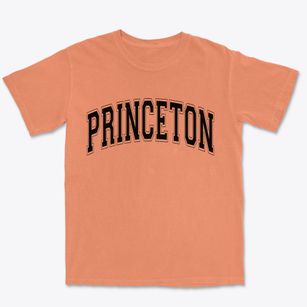 Princeton Texas Varsity Premium Heavyweight T-shirt
