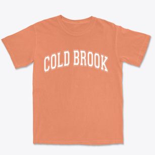 Cold Brook New York Varsity Premium Heavyweight T-shirt