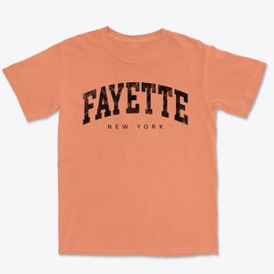 Fayette New York Urban Vibe Premium Heavyweight T-shirt