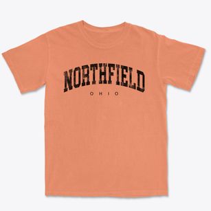Northfield Ohio Urban Vibe Premium Heavyweight T-shirt
