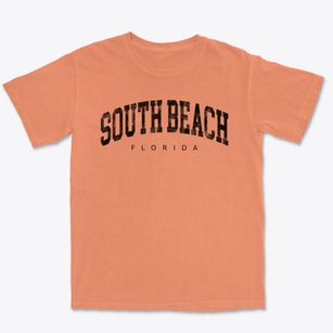South Beach Florida Urban Vibe Premium Heavyweight T-shirt