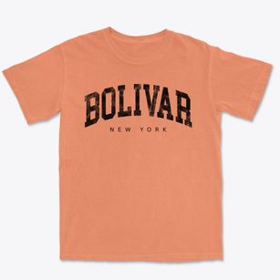 Bolivar New York Urban Vibe Premium Heavyweight T-shirt
