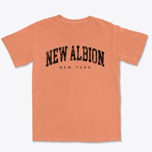 New Albion New York Urban Vibe Premium Heavyweight T-shirt
