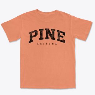 Pine Arizona Urban Vibe Premium Heavyweight T-shirt