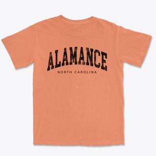 Alamance North Carolina Urban Vibe Premium Heavyweight T-shirt