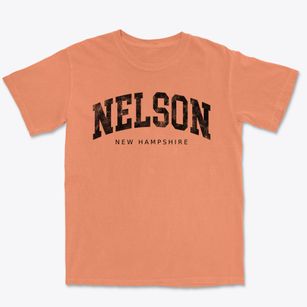 Nelson New Hampshire Urban Vibe Premium Heavyweight T-shirt
