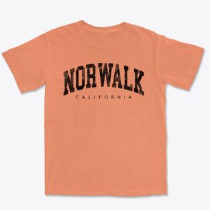 Norwalk California Urban Vibe Premium Heavyweight T-shirt