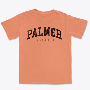 Palmer Illinois Urban Vibe Premium Heavyweight T-shirt
