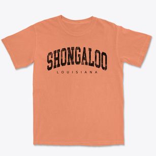 Shongaloo Louisiana Urban Vibe Premium Heavyweight T-shirt