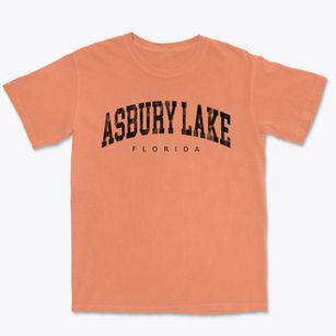 Asbury Lake Florida Urban Vibe Premium Heavyweight T-shirt