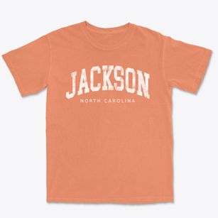 Jackson North Carolina Urban Vibe Premium Heavyweight T-shirt