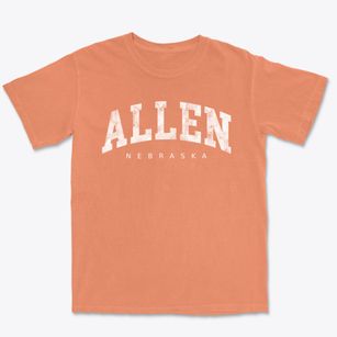 Allen Nebraska Urban Vibe Premium Heavyweight T-shirt