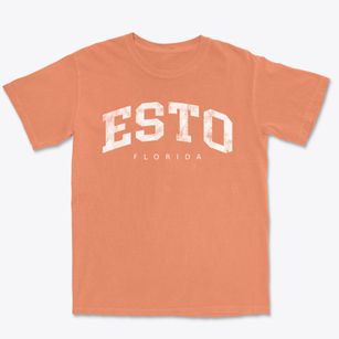 Esto Florida Urban Vibe Premium Heavyweight T-shirt