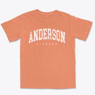 Anderson Alabama Urban Vibe Premium Heavyweight T-shirt